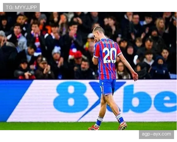 英超亚当·韦伯斯特